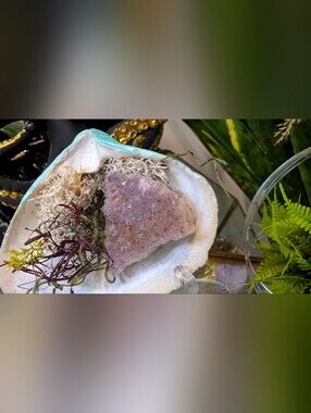 Amethyst Crystal & Artificial Moss in Blue Seashell (stand Included)